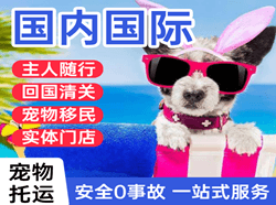 榆林榆阳空运地址国际宠物托运 【国